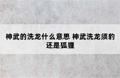 神武的洗龙什么意思 神武洗龙须豹还是狐狸